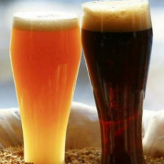 Импортное пиво — темное / светлое